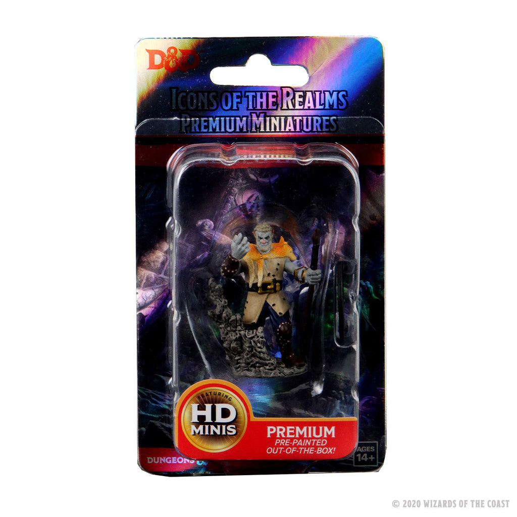 Imagen de D&D Icons of the Realms Premium Figure: Firbolg Druid – Prepintada