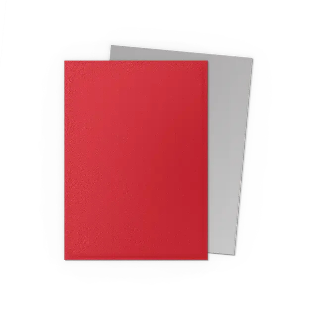 Dragon Shield Crimson & Silver – Matte Dual Sleeves (100 ct.)