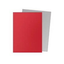 Dragon Shield Crimson & Silver – Matte Dual Sleeves (100 ct.)