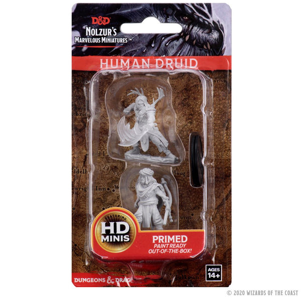 D&D Minis: Wave 6- Male Human Druid