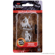 D&D Minis: Wave 6- Male Human Druid