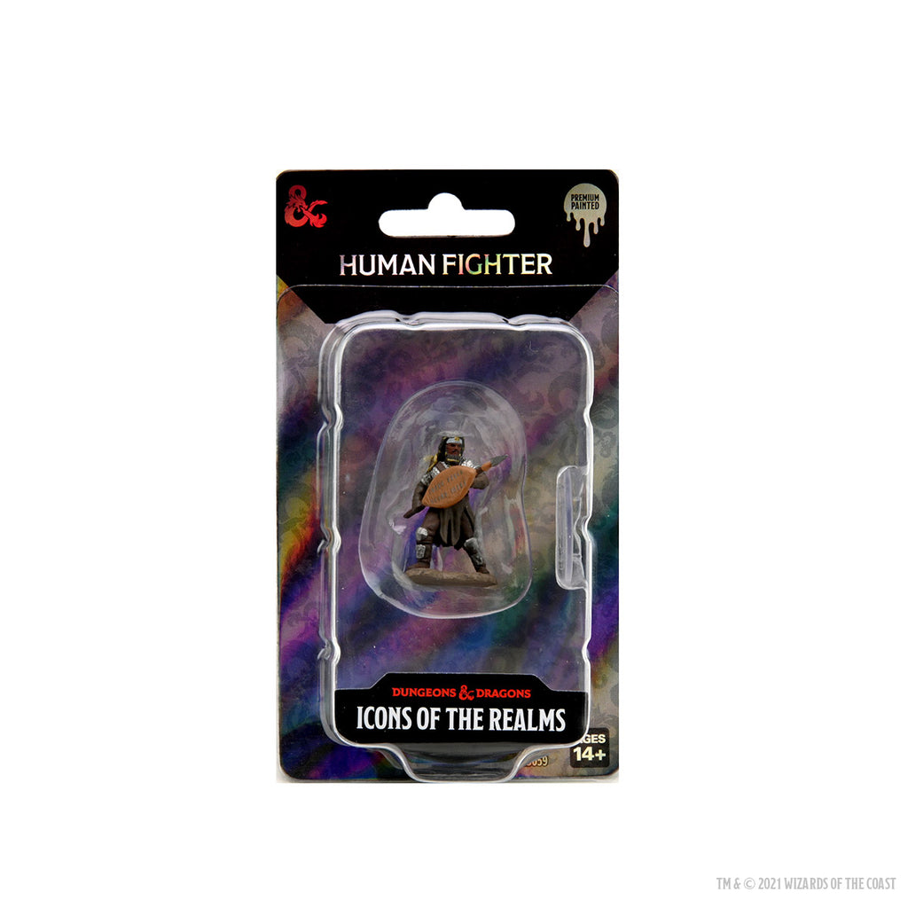 Imagen de D&D Icons of the Realms Premium Figure: Male Human Fighter – Prepintada